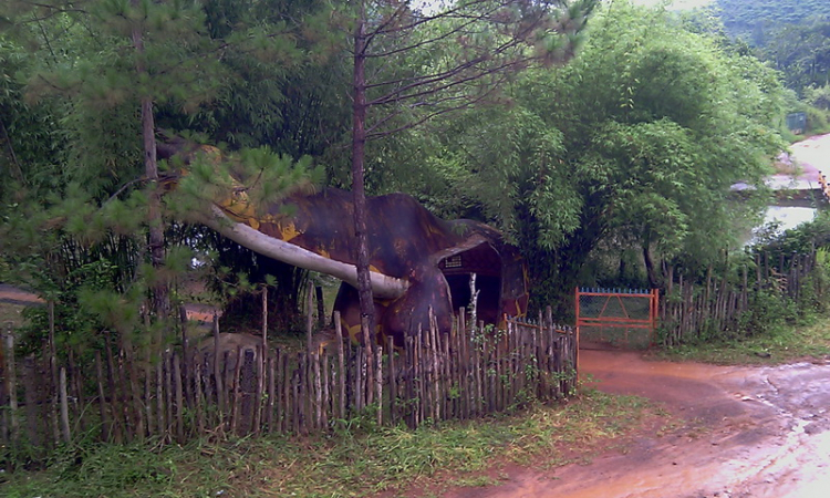 Matiz: chân ngắn trên đường dài! Festival Đà Lạt 2013.(p204)