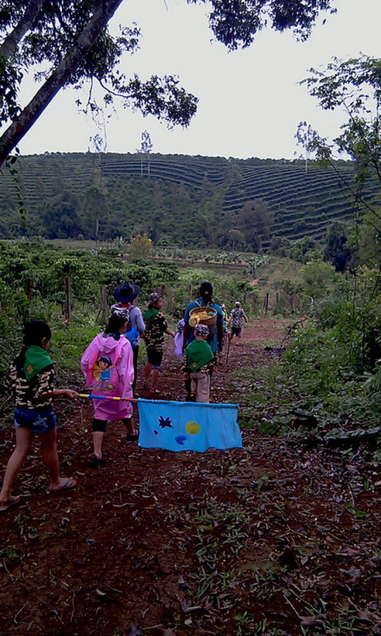 Matiz: chân ngắn trên đường dài! Festival Đà Lạt 2013.(p204)