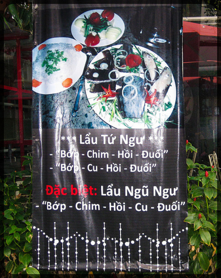 Hội "Thi Ca Bo Ke" Hội "Thi Ca Bo Ke"