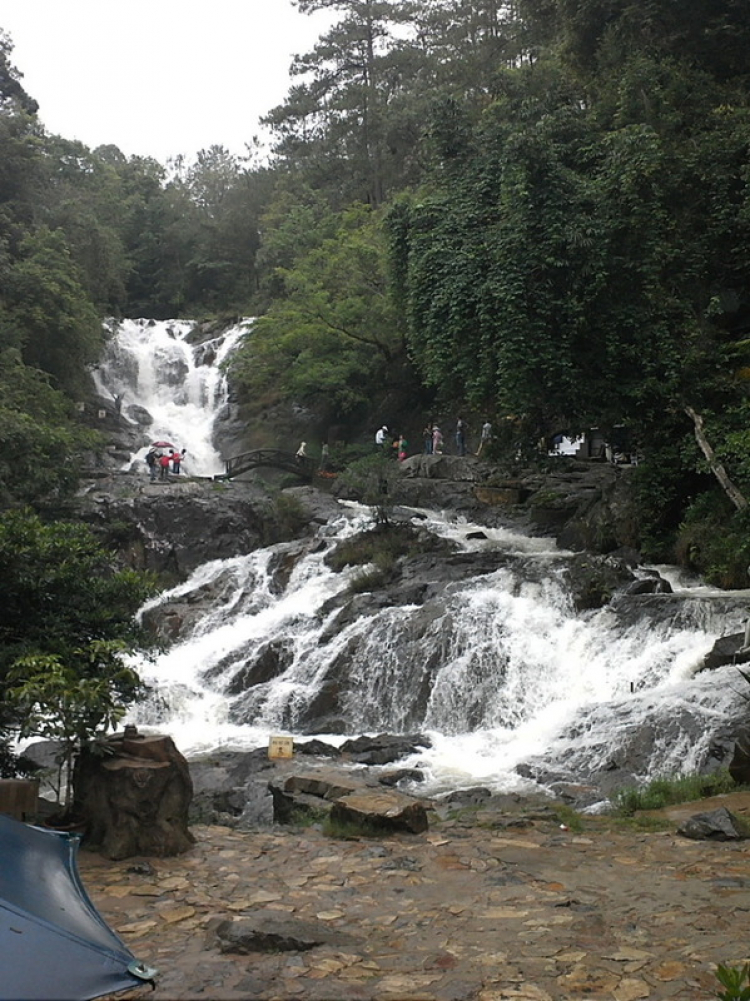 Matiz: chân ngắn trên đường dài! Festival Đà Lạt 2013.(p204)