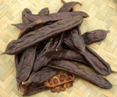 Miệt vườn