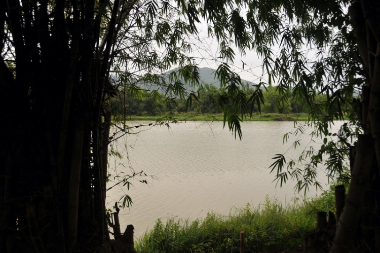 Bản tin XNL – Nha Trang