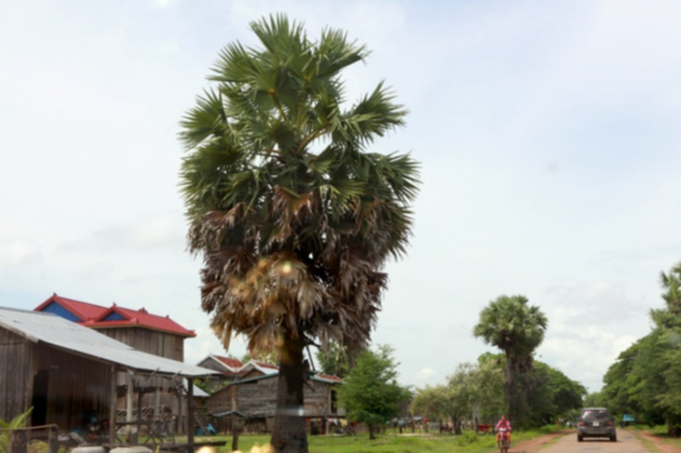 Ảnh tường thuật hành trình Caravan Indochina Tour đầu tiên của MBFC! Ảnh tường thuật hành trình Caravan Indochina Tour đầu tiên của MBFC!