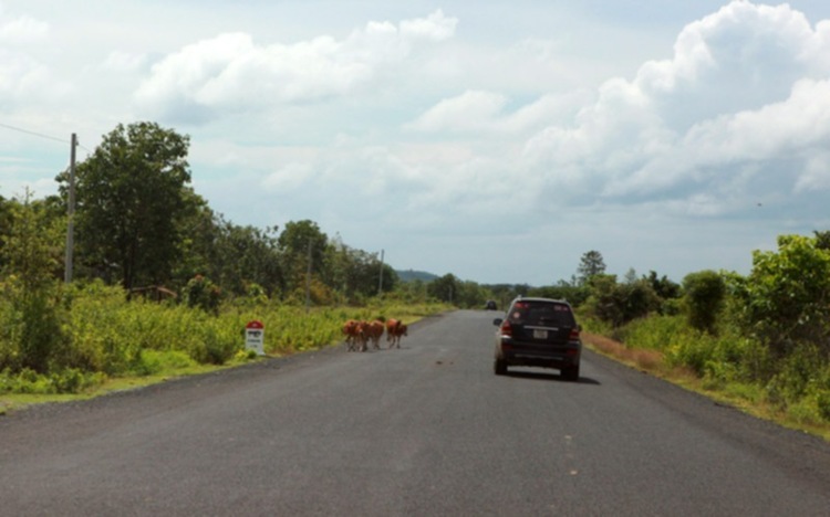 Ảnh tường thuật hành trình Caravan Indochina Tour đầu tiên của MBFC!