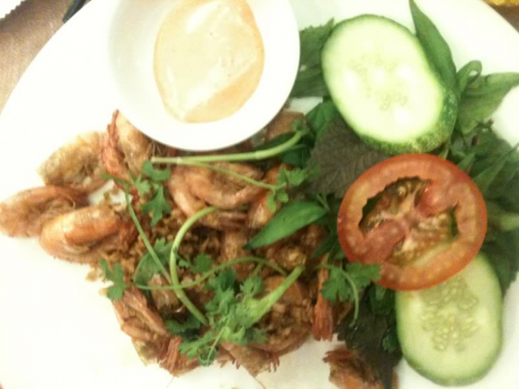 Bản tin XNL – Nha Trang Bản tin XNL – Nha Trang