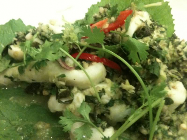 Bản tin XNL – Nha Trang Bản tin XNL – Nha Trang