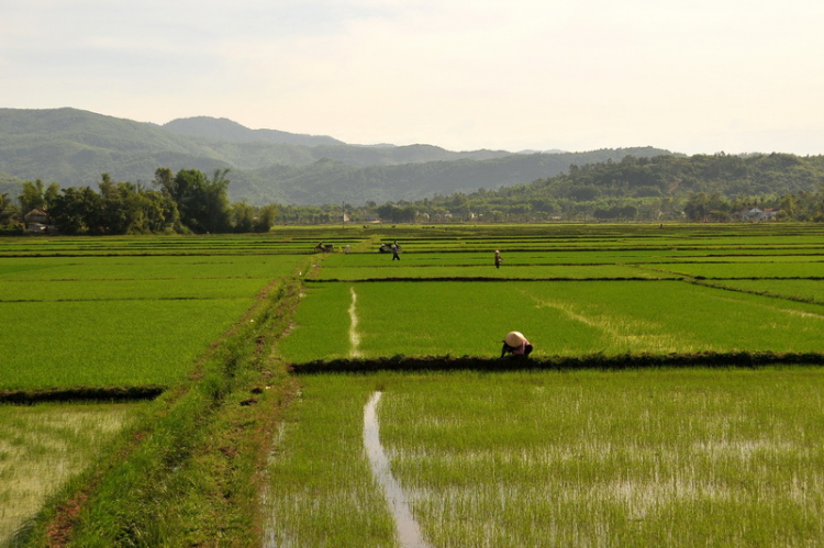 SGN-Huể 23-30/06