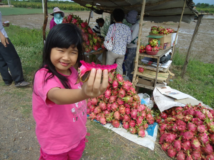 Phan Rang vùng đất của nắng và gió