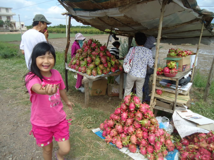 Phan Rang vùng đất của nắng và gió