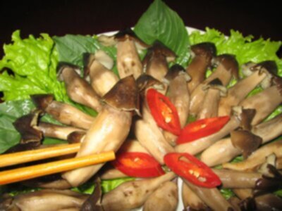 Miệt vườn