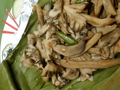 Miệt vườn