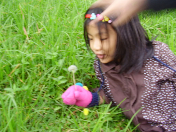 Hè này cùng gia đình nhỏ lên rừng, xuống biển - vượt đèo Gia bắc Hè này cùng gia đình nhỏ lên rừng, xuống biển - vượt đèo Gia bắc