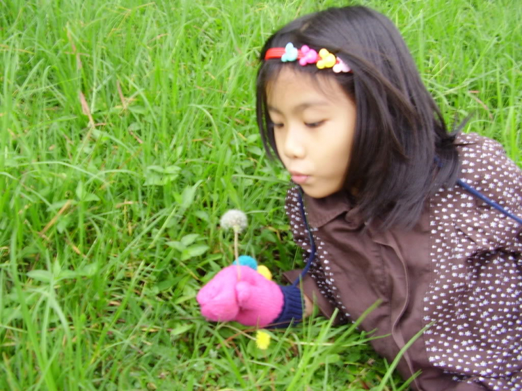 Hè này cùng gia đình nhỏ lên rừng, xuống biển - vượt đèo Gia bắc Hè này cùng gia đình nhỏ lên rừng, xuống biển - vượt đèo Gia bắc