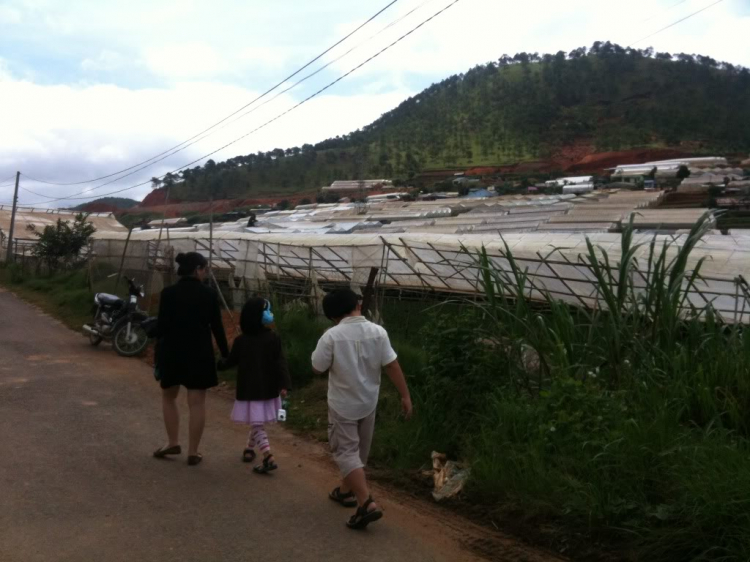 Hè này cùng gia đình nhỏ lên rừng, xuống biển - vượt đèo Gia bắc