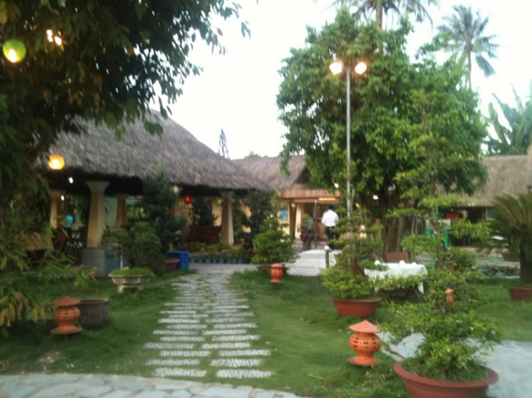 Bản tin XNL – Nha Trang