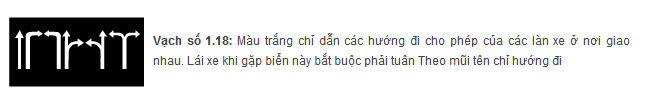 Đi không đúng làn đường quy định ???