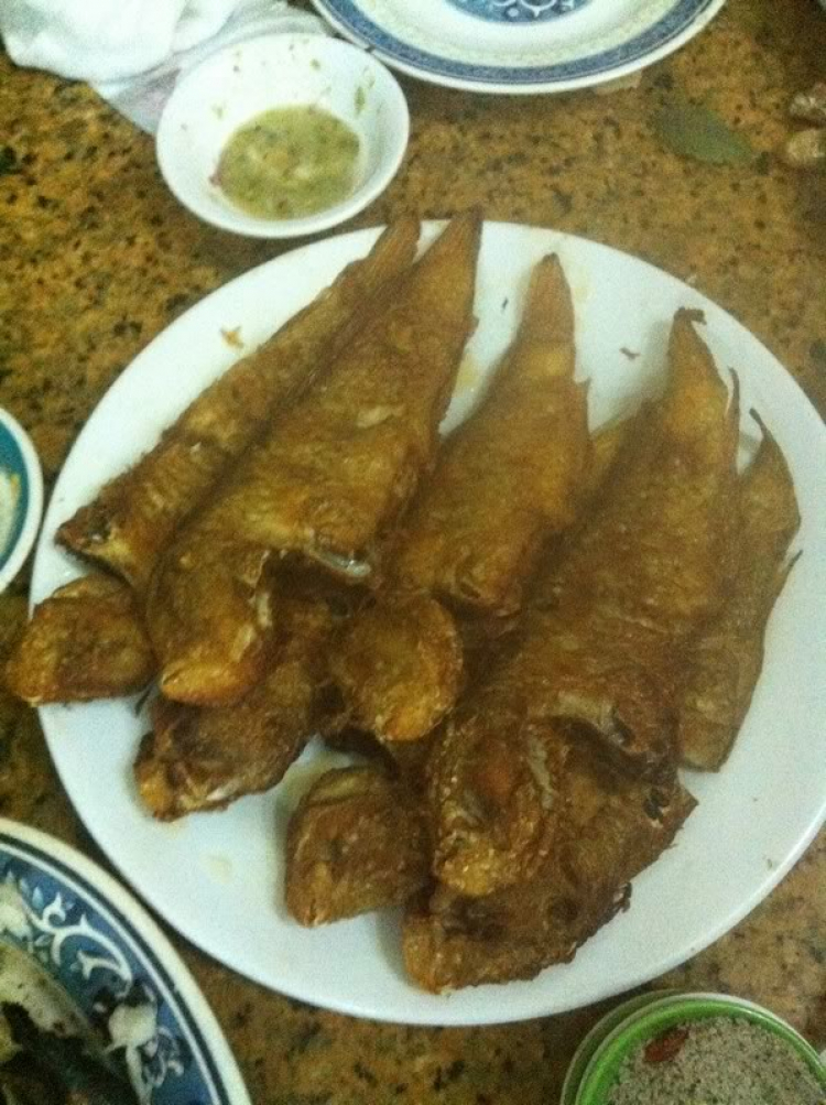 Du ngoạn trên biển bằng xuồng phao bơm hơi. Du ngoạn trên biển bằng xuồng phao bơm hơi.