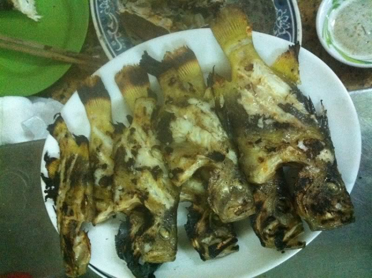 Du ngoạn trên biển bằng xuồng phao bơm hơi. Du ngoạn trên biển bằng xuồng phao bơm hơi.