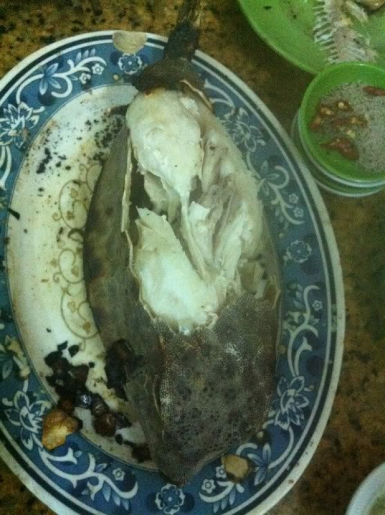 Du ngoạn trên biển bằng xuồng phao bơm hơi. Du ngoạn trên biển bằng xuồng phao bơm hơi.