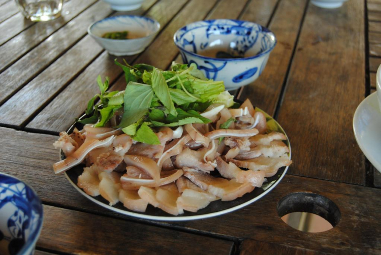 Bản tin XNL – Nha Trang