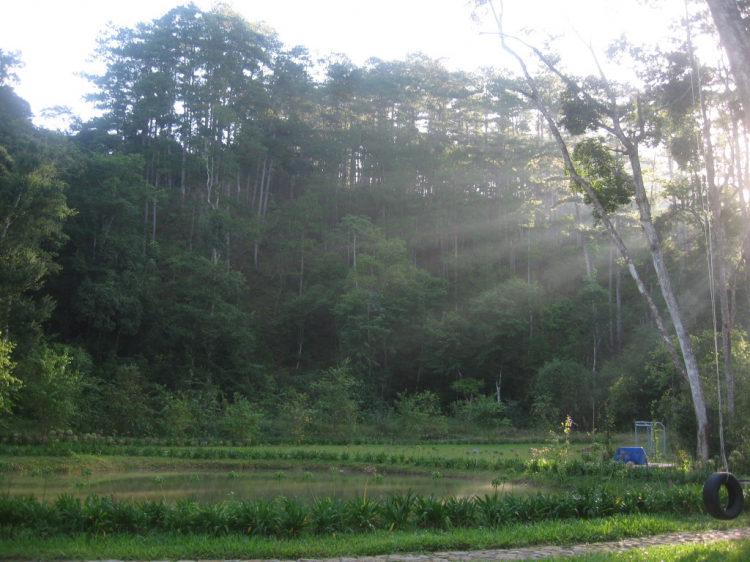 Phượt trên diễn đàn nhà mình