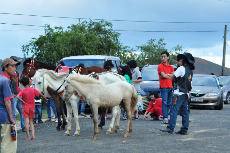 Hình ảnh MAFC & Gia Đình du lịch Hè Đà Lạt 2012.