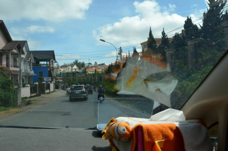 Hình ảnh FIFC tham quan, vui chơi và nghỉ dưỡng tại Đà Lạt 22/6 - 24/6/2012 Hình ảnh FIFC tham quan, vui chơi và nghỉ dưỡng tại Đà Lạt 22/6 - 24/6/2012