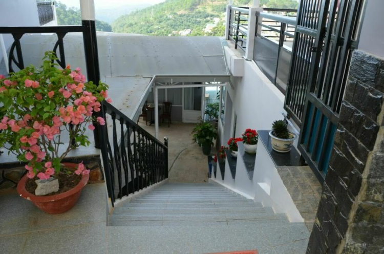 Hình ảnh FIFC tham quan, vui chơi và nghỉ dưỡng tại Đà Lạt 22/6 - 24/6/2012 Hình ảnh FIFC tham quan, vui chơi và nghỉ dưỡng tại Đà Lạt 22/6 - 24/6/2012