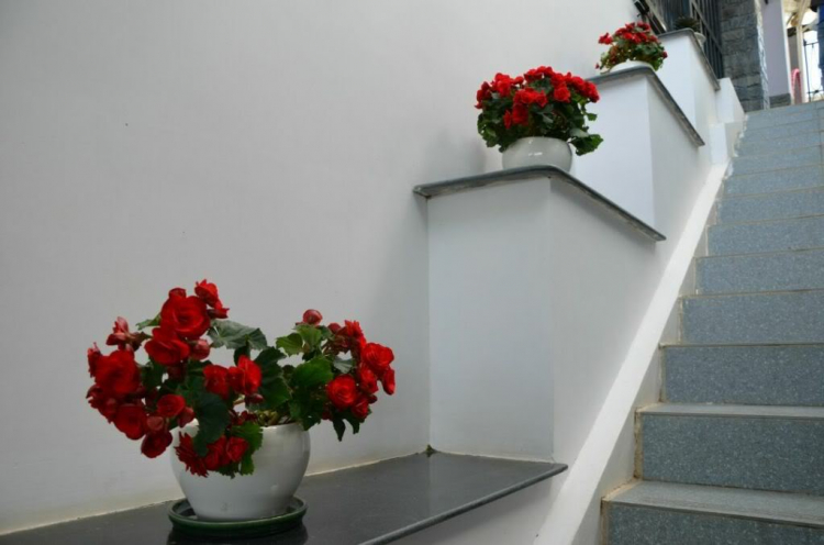 Hình ảnh FIFC tham quan, vui chơi và nghỉ dưỡng tại Đà Lạt 22/6 - 24/6/2012 Hình ảnh FIFC tham quan, vui chơi và nghỉ dưỡng tại Đà Lạt 22/6 - 24/6/2012
