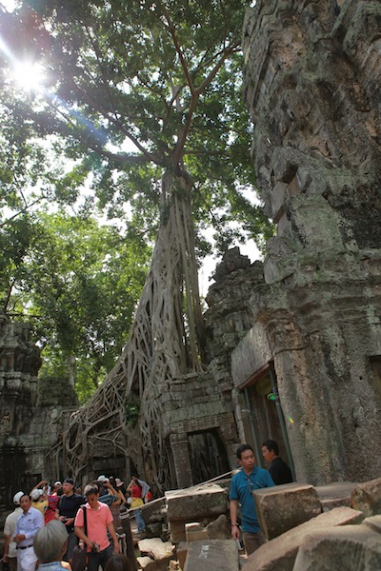 Ảnh tường thuật hành trình Caravan Indochina Tour đầu tiên của MBFC!