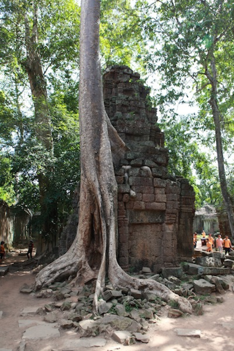 Ảnh tường thuật hành trình Caravan Indochina Tour đầu tiên của MBFC!