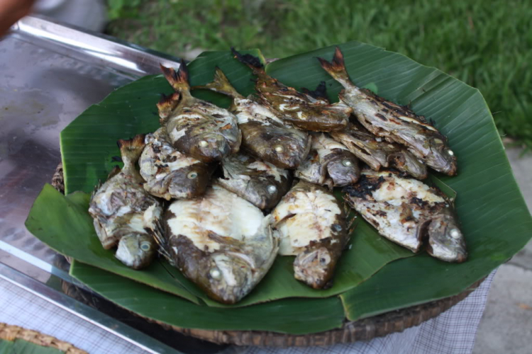 S.O.S - Hành trình về phố biển Nha Trang 21-24/6/12