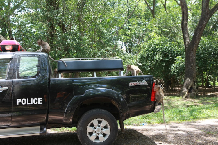 Ảnh tường thuật hành trình Caravan Indochina Tour đầu tiên của MBFC!