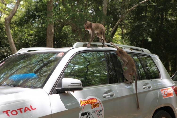 Ảnh tường thuật hành trình Caravan Indochina Tour đầu tiên của MBFC!