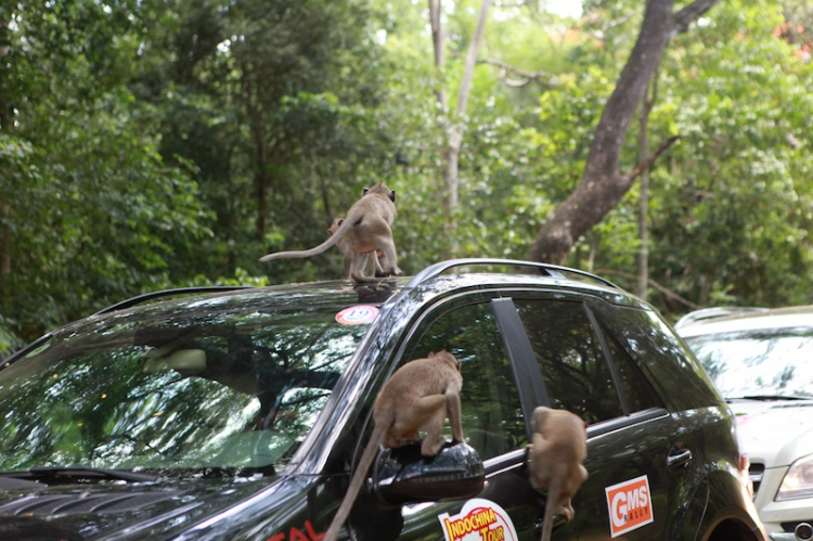 Ảnh tường thuật hành trình Caravan Indochina Tour đầu tiên của MBFC!