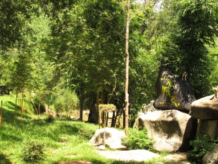 S.O.S - Hành trình về phố biển Nha Trang 21-24/6/12