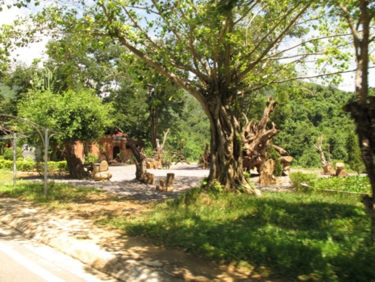 S.O.S - Hành trình về phố biển Nha Trang 21-24/6/12