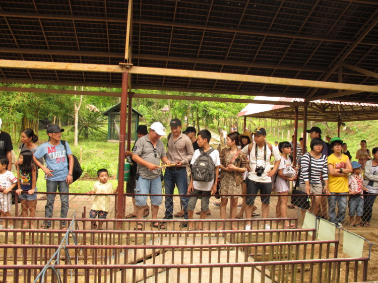 S.O.S - Hành trình về phố biển Nha Trang 21-24/6/12 S.O.S - Hành trình về phố biển Nha Trang 21-24/6/12