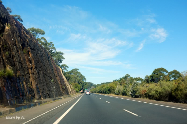 Ngao du Aussie, nhờ các bác chia sẻ kinh nghiệm và chỉ giáo.