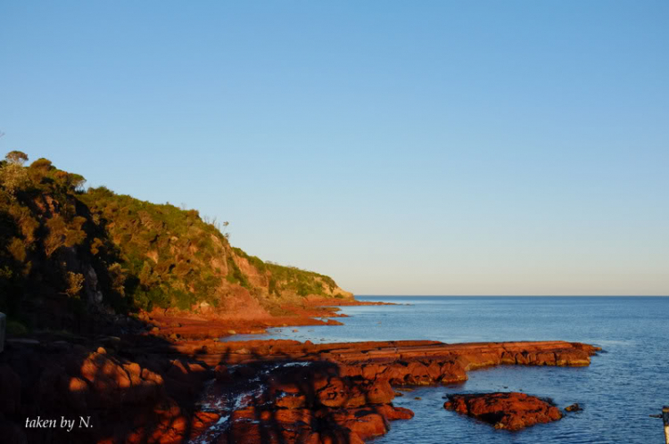 Ngao du Aussie, nhờ các bác chia sẻ kinh nghiệm và chỉ giáo.