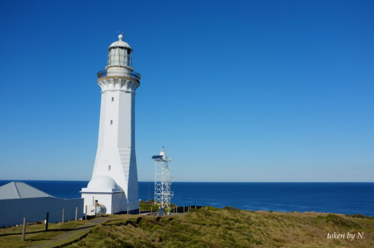 Ngao du Aussie, nhờ các bác chia sẻ kinh nghiệm và chỉ giáo.