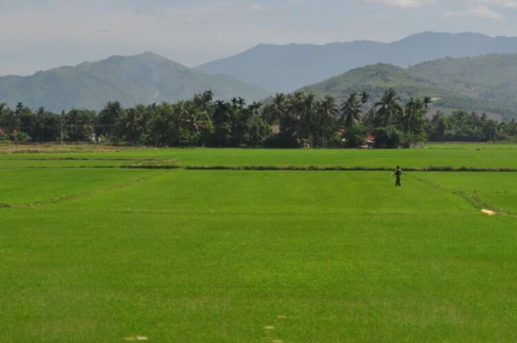 S.O.S - Hành trình về phố biển Nha Trang 21-24/6/12
