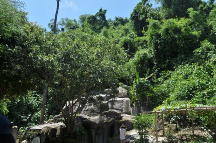 S.O.S - Hành trình về phố biển Nha Trang 21-24/6/12