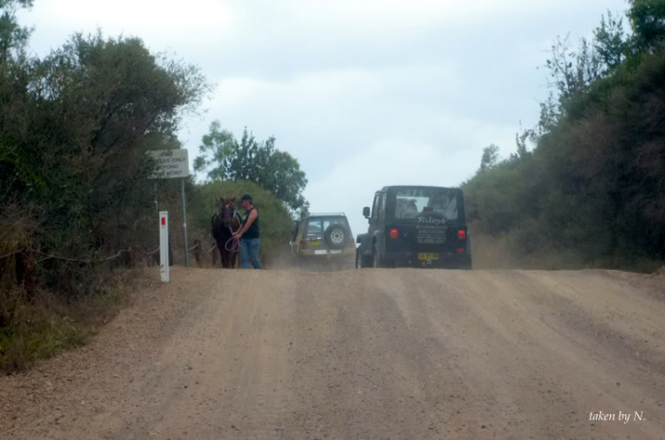 Stockton Beach NSW, một lần offroad theo tinh thần Ngu Ma Li