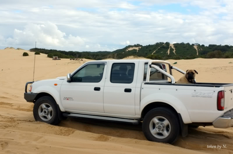 Stockton Beach NSW, một lần offroad theo tinh thần Ngu Ma Li