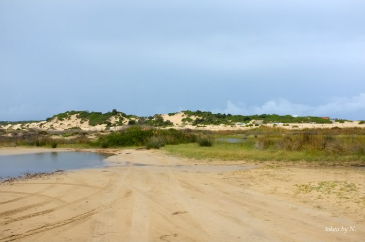 Stockton Beach NSW, một lần offroad theo tinh thần Ngu Ma Li