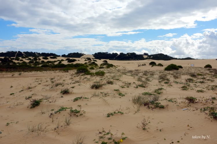 Stockton Beach NSW, một lần offroad theo tinh thần Ngu Ma Li