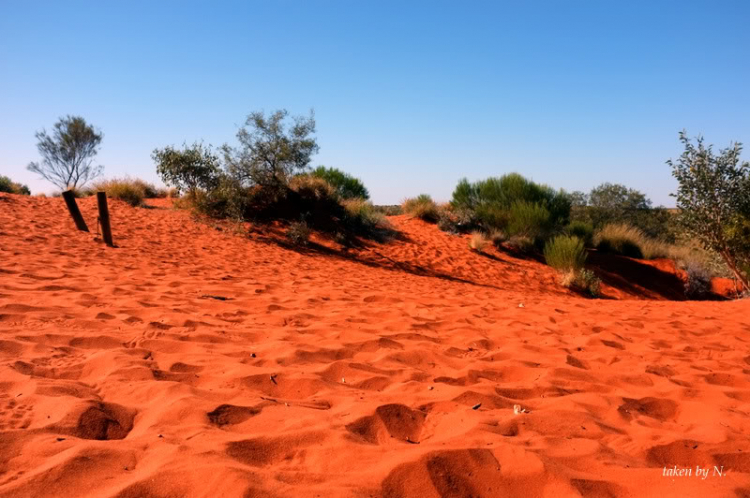 Ngao du Aussie, nhờ các bác chia sẻ kinh nghiệm và chỉ giáo.