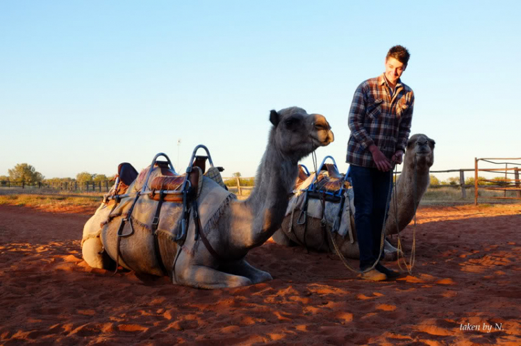 Ngao du Aussie, nhờ các bác chia sẻ kinh nghiệm và chỉ giáo.