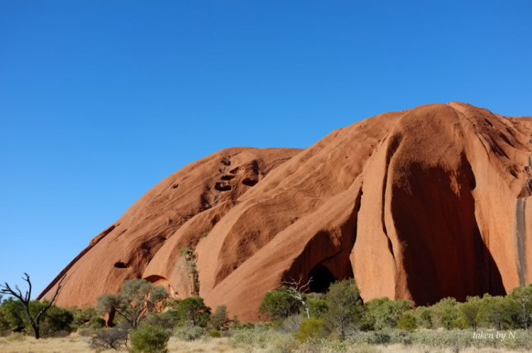 Ngao du Aussie, nhờ các bác chia sẻ kinh nghiệm và chỉ giáo.